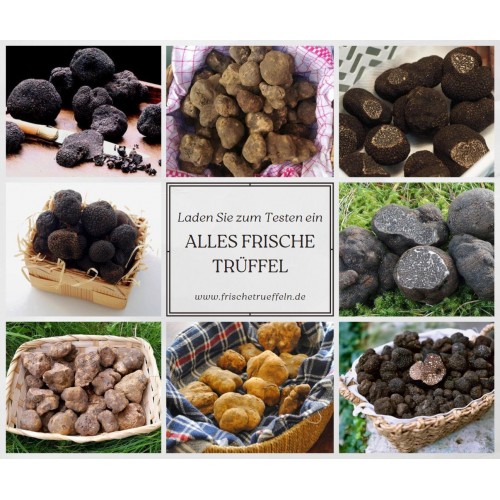 Frische Trüffel Trüffelladen Trüffel Kaufen Online